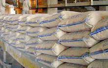 Xi măng Hà Tiên 1 (HT1) báo lãi 208 tỷ đồng trong quý 2, xấp xỉ bằng cùng kỳ