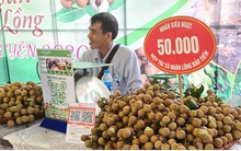 Nhãn lồng Hưng Yên giá giảm, bí đầu ra do ảnh hưởng dịch Covid-19