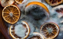 Điểm mặt thêm 3 chất là tác nhân gây ung thư luôn tiềm ẩn trong nhà bạn: Xuất hiện trong nhiều món ăn, đồ dùng có thể bạn sử dụng hàng ngày