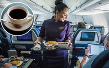 Trà và cà phê trên máy bay không “sạch” như chúng ta tưởng: Sự thật là gì?