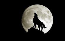 Kiểu người này được nhận xét là gần như không có bất kỳ giới hạn nào, sẵn sàng vượt qua nỗi sợ hãi để gặt hái thành công