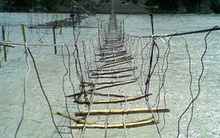 Đang định qua sông thì phát hiện cây cầu có vấn đề, chỉ bằng 1 hòn đá, vị hòa thượng cứu sống 1 mạng người