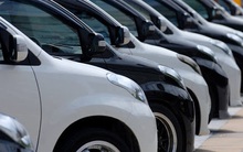 Ô tô nhập khẩu tăng vọt, xe Thái Lan áp đảo thị trường