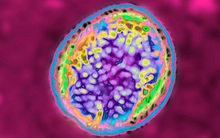 Nhà máy vaccine TQ dùng đồ hết hạn sử dụng: Hàng nghìn người đổ bệnh vì hít phải vi khuẩn rò rỉ