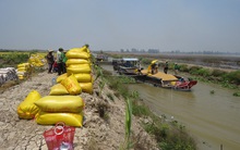 Niềm vui trúng mùa, được giá