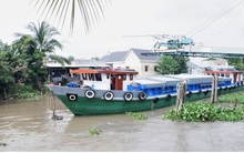 Xuất khẩu lô hàng gạo thơm đầu tiên sang châu Âu