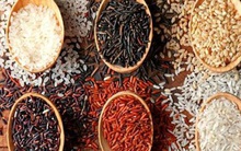 Chuyên gia Ấn Độ khuyên ngâm gạo trước khi nấu cơm: Những lợi ích bất ngờ và cách ngâm gạo đúng