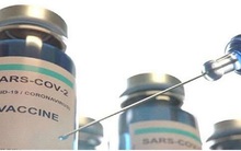 Mỹ chuẩn bị ra mắt vaccine Covid-19 trước ngày bầu cử Tổng thống