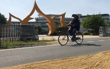 Dính đến tuyến đường 70 tỉ đồng dang dở, nhiều quan chức Quảng Ngãi bị kỷ luật