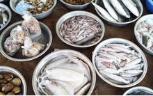 Trung Quốc ngừng nhập thực phẩm của gần 20 nước liên quan Covid-19