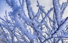 Giá khí đốt tăng gấp 4 lần chỉ trong vòng hơn 1 tháng, lên cao nhất 7 năm