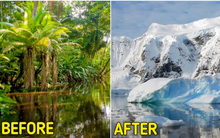 6 bí ẩn của thế giới mà đến nay khoa học vẫn không tài nào giải đáp nổi, dù đã rất nỗ lực tìm kiếm