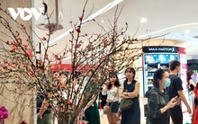 Hoa đào nhập khẩu hút khách chơi Tết tại TP HCM