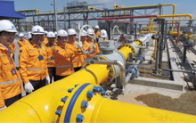 PV GasD (PGD) báo lãi 203 tỷ đồng, cơ bản hoàn thành kế hoạch năm