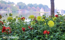 Hà Nội rực rỡ hoa chào mừng Đại hội Đảng lần thứ XIII