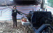 Công nghệ ép cây mía "đẻ"...ra tiền