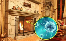 Những thói quen mà bạn không ngờ tới lại đang âm thầm gây ô nhiễm cho ngôi nhà