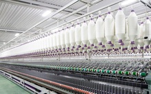 Fortex (FTM): Quý thứ 9 liên tiếp báo lỗ 49 tỷ đồng