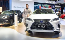 Lexus triệu hồi 1.334 xe tại Việt Nam do lỗi bơm nhiên liệu