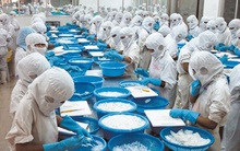 Thuỷ sản số 4 (TS4): Doanh thu lợi nhuận liên tục trồi sụt, năm 2020 lỗ lớn 96 tỷ đồng