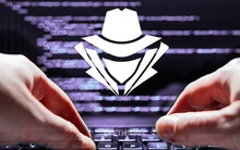 Sau thu nhập "khủng" 330 tỷ của cô gái sinh năm 92, hãy xem Hacker mũ trắng tiết lộ sự thật về thu nhập tiền tỷ của “thợ săn lỗi”