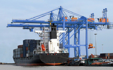 Cảng Đình Vũ (DVP) báo lãi trước thuế 290 tỷ đồng cả năm, vượt 3,3% kế hoạch