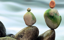 Lợi nhuận tăng bằng lần, cổ phiếu của loạt doanh nghiệp ăn nên làm ra vẫn đo sàn