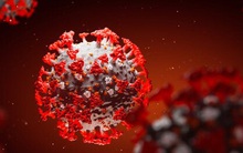 SARS-CoV-2 "nhảy" từ người này sang người khác nhanh cỡ nào: Câu trả lời đáng báo động!