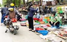 Hà Nội tái diễn 'chợ cóc' tự phát khi Tết Nguyên đán cận kề