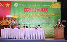 Tập đoàn cao su (VRG) ước lãi trước thuế gần 5.000 tỷ đồng, hoàn thành kế hoạch năm 2020