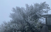 Băng tuyết phủ trắng đỉnh Mẫu Sơn