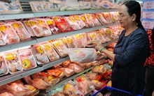 Thịt gà rẻ ồ ạt vào Việt Nam: Người nuôi lỗ nặng