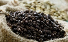 Nga tăng nhập khẩu hạt tiêu từ Việt Nam