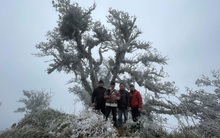 Du khách lên đỉnh Pia Oắc ngắm băng tuyết