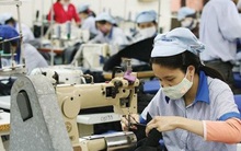 Doanh nghiệp dệt may chờ chính sách mở cửa xuyên suốt