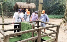 "Phá băng", phục hồi du lịch