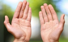 Bỏ ra 3 giây nhìn vào đặc điểm bàn tay, biết ngay hậu vận ai sướng, ai khổ