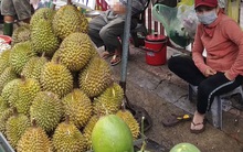 Sầu riêng "đứt lứa", giá cao