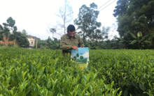 Hóa chất Lâm Thao (LAS) báo lãi trước thuế 72 tỷ đồng, đạt gấp đôi kế hoạch năm