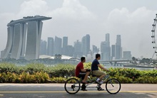 Các gia tộc giàu nhất Đông Nam Á đang đổ xô rót tiền vào lĩnh vực này, hi vọng kiếm bộn tiền trong lúc đại dịch tàn phá những mô hình kinh doanh kiểu cũ