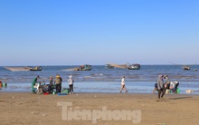 Ngư dân Hà Tĩnh trúng đậm ruốc biển