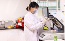 Nhiều tập đoàn nước ngoài rót thêm hàng trăm triệu USD, mở rộng đầu tư tại Việt Nam