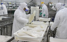 Xuất khẩu hải sản 9 tháng đầu năm 2021 đạt 2,4 tỷ USD