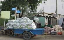 Rau củ, trái cây Trung Quốc vào Việt Nam tăng mạnh