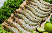 Chi phí cước tàu tăng mạnh, Thực phẩm Sao Ta (FMC) báo lãi quý 3 giảm gần 10% so với cùng kỳ