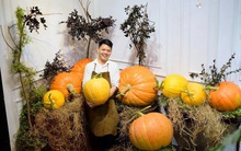 Săn lùng bí ngô ‘siêu khổng lồ’ nửa tạ giá chục triệu trưng nhà, cửa hàng Hà Nội bán cả tấn quả cận lễ Halloween