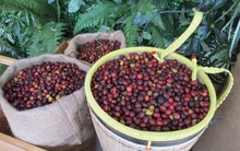 Bộ trưởng Lê Minh Hoan: Việt Nam là nước nông nghiệp nhưng lại nhập nguyên liệu rất nhiều