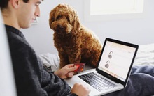 Người Mỹ 'nghiện nợ' như thế nào: Thế hệ sắp nghỉ hưu ôm khoản vay hơn 140 nghìn đô, vẫn chật vật trả nợ sinh viên