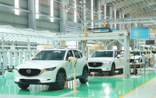 11 nhà nhập khẩu ô tô kiến nghị được giảm 50% lệ phí trước bạ