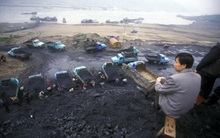 Giá than "rơi tự do" tại Trung Quốc